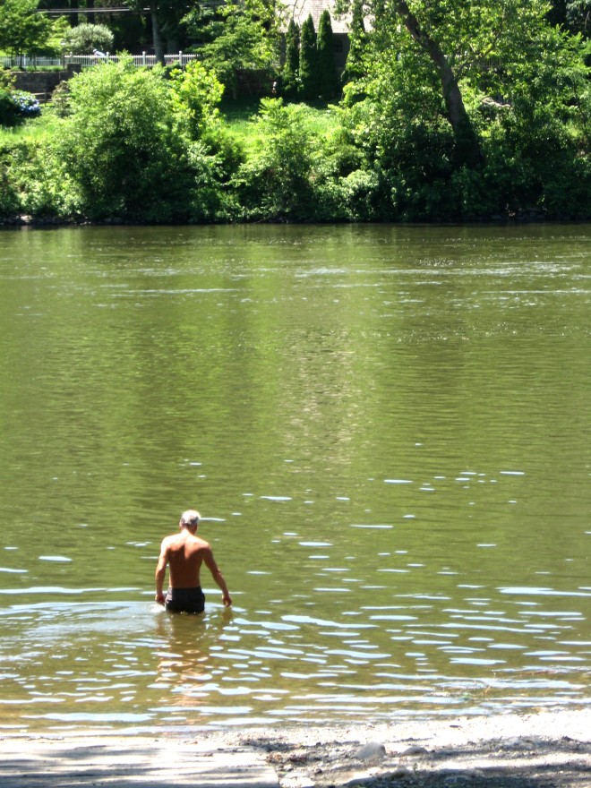The Swimmer Delaware River Bull's Island July 2017